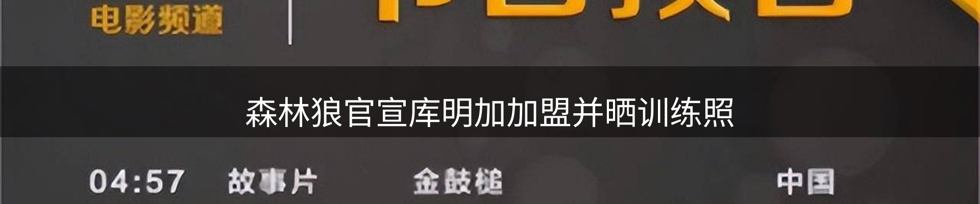 内页banner